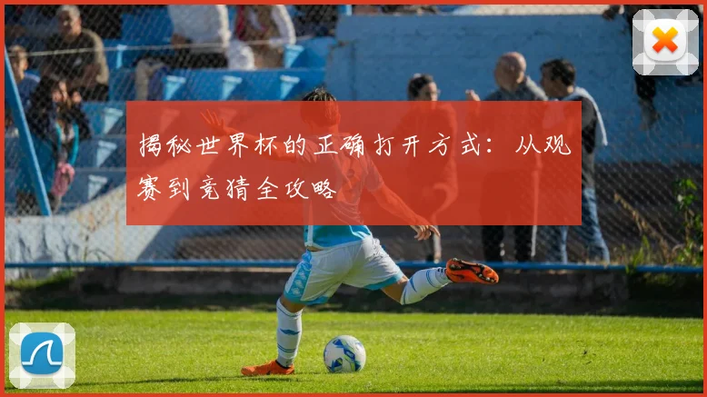 揭秘世界杯的正确打开方式：从观赛到竞猜全攻略