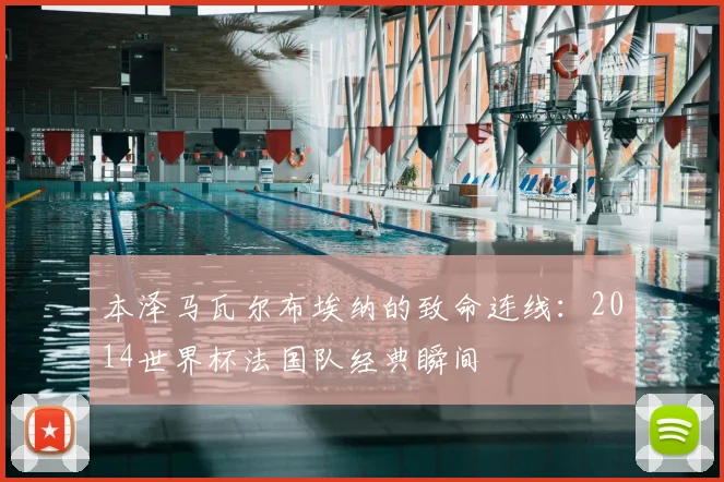 本泽马瓦尔布埃纳的致命连线:2014世界杯法国队经典瞬间