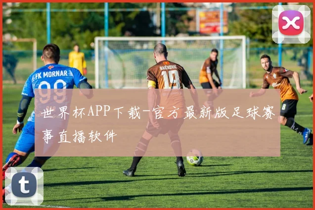 世界杯APP下载-官方最新版足球赛事直播软件