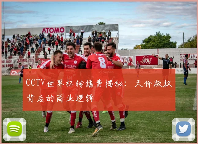 CCTV世界杯转播费揭秘：天价版权背后的商业逻辑
