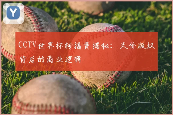 CCTV世界杯转播费揭秘：天价版权背后的商业逻辑