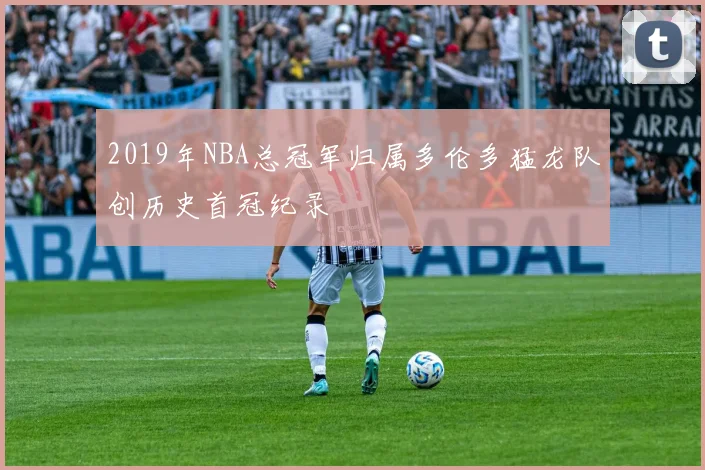 2019年NBA总冠军归属多伦多猛龙队创历史首冠纪录