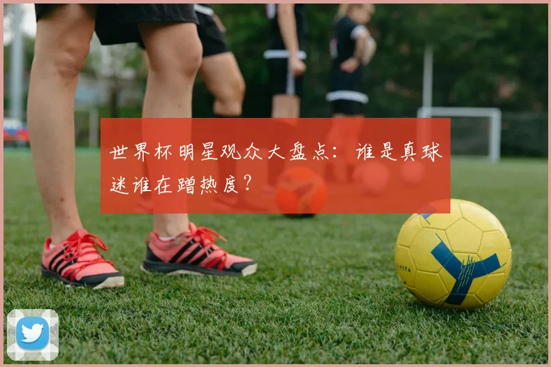 世界杯明星观众大盘点：谁是真球迷谁在蹭热度？