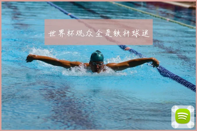世界杯观众全是铁杆球迷