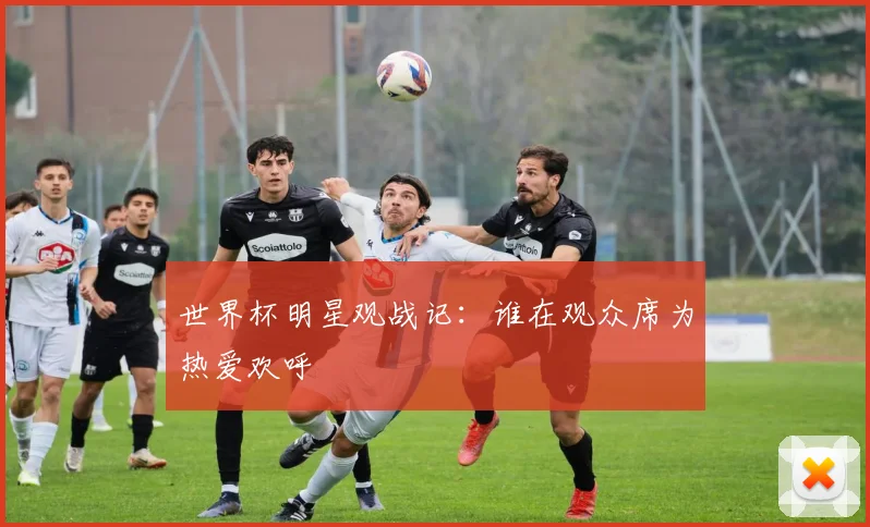 世界杯明星观战记:谁在观众席为热爱欢呼