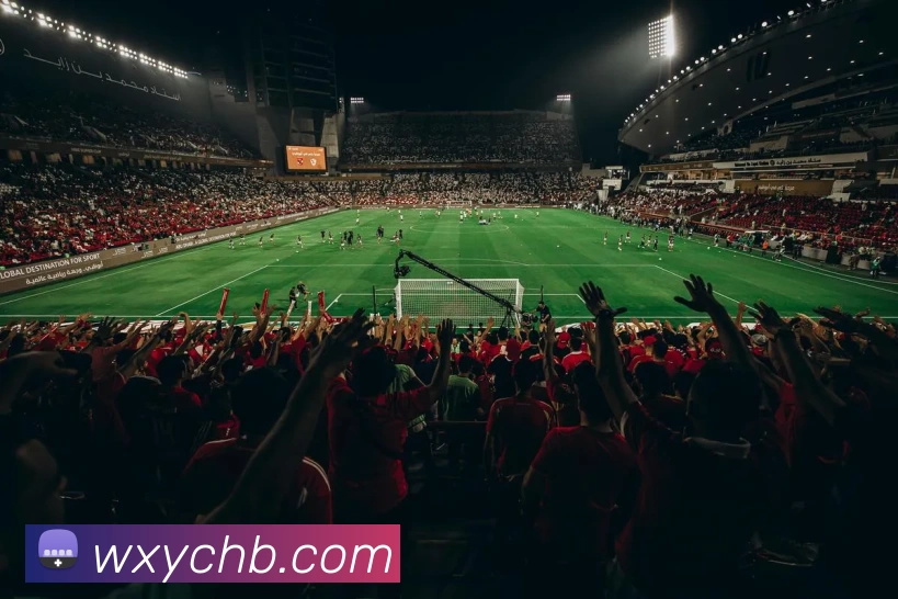 开云体育APP 体育赛事宣传图